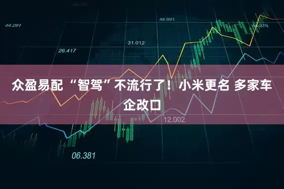 众盈易配 “智驾”不流行了！小米更名 多家车企改口